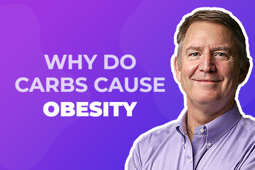 Why carbs cause obesity – Adapt Your Life® Academy