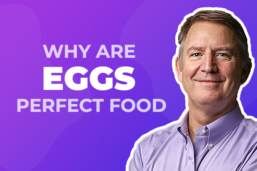Why are eggs the perfect food? – Adapt Your Life® Academy